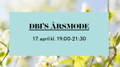 Hvad kan du bruge DBI til?