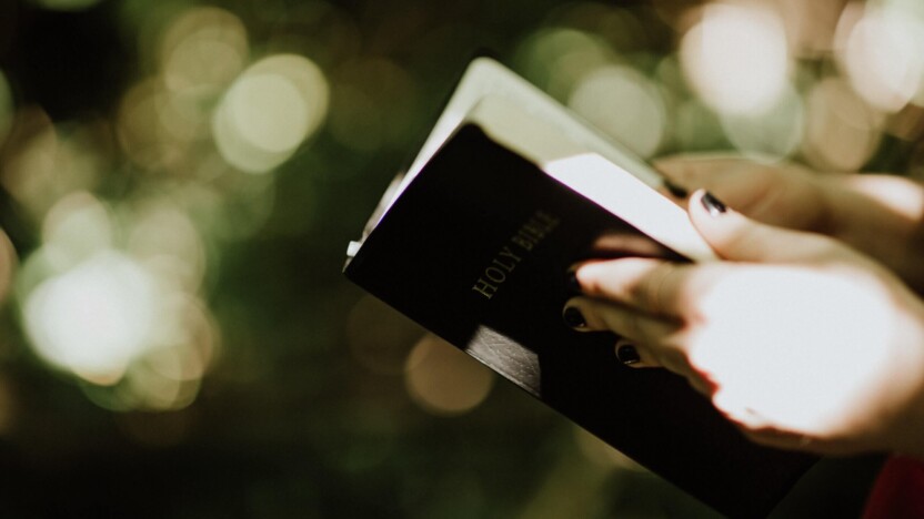 Bible Online Learner - reception