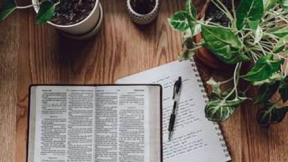 Læs teologi næste sommer